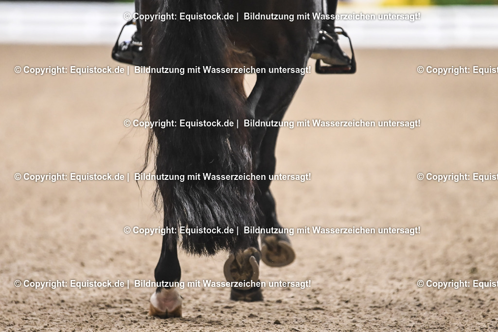 20241116_Dressur-Kür_TOMsPiC_0003 | Foto: Thomas Hartig