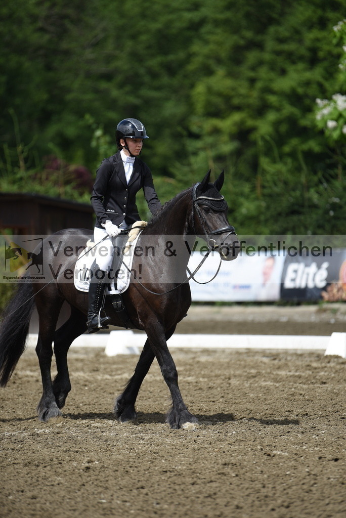 DSC_0849 | equestrian-live-com