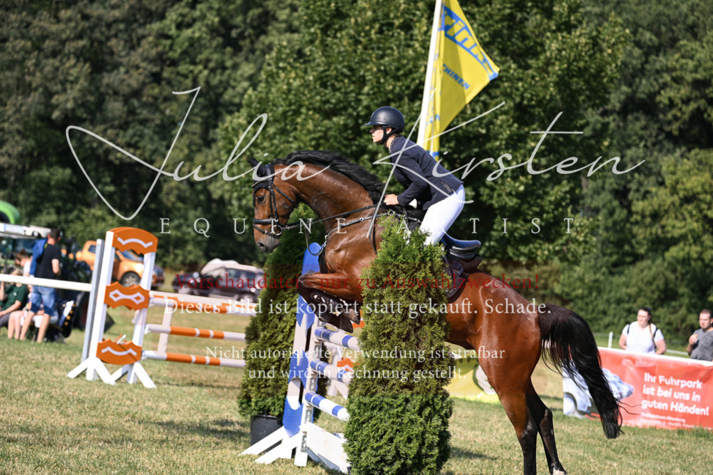 DSC_1460 | Pferde- und Turnierfotografie in Westsachsen. Pferdeportraits, Auftragszeichnungen und intuitive Kunst.