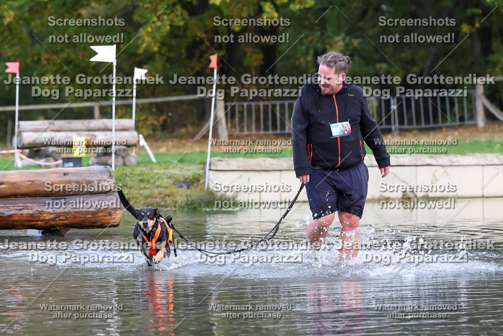 Dog Paparazzi - Strongdog 10-25-6636 | Dog Paparazzi Jeanette Grottendiek Fotografie & Videografie - Realisiert mit Pictrs.com