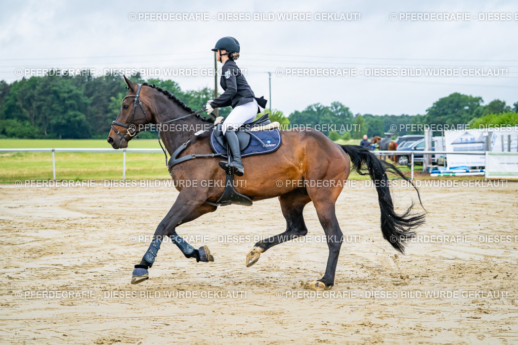 DSC02000 | Pferdegrafie