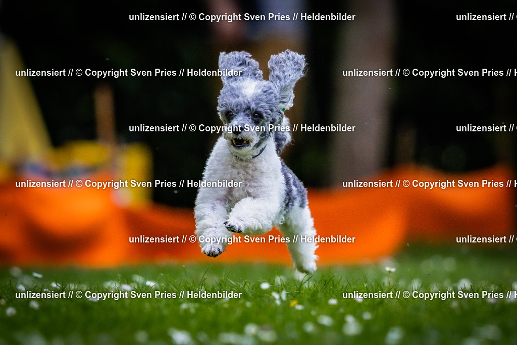 Sven Pries | 2025-05-29 - Pudelrennen KA-Durlach - Realisiert mit Pictrs.com