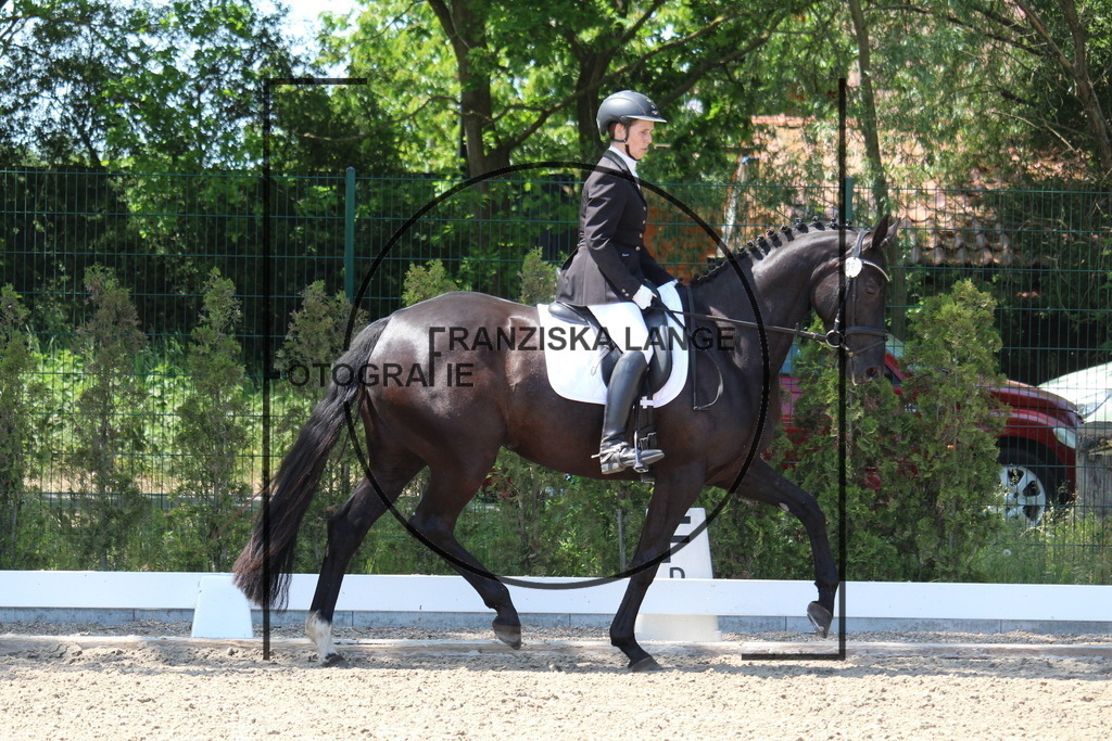 IMG_4483 | franziskalange - Realisiert mit Pictrs.com