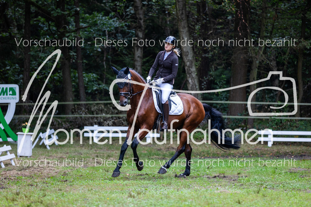 HB-A-Dressur-018 | MomenTaufnahmen Pferdesportfotos