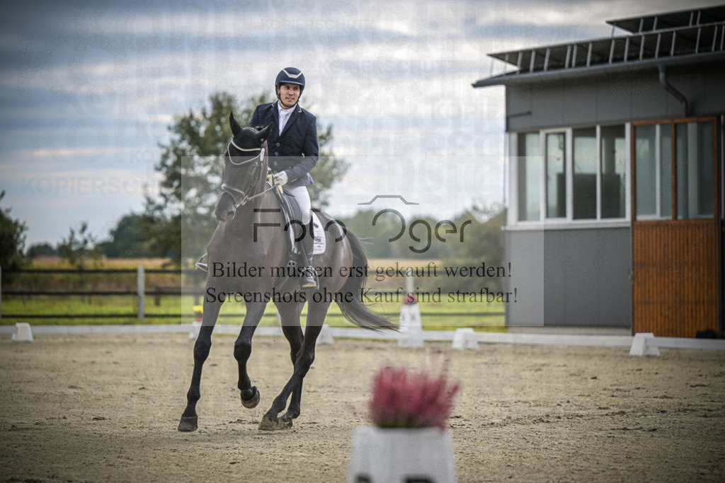 DOS_0335 | Entdecke hochwertige Reitturnierfotos von Foto Oger. Professionell, emotional und authentisch – jetzt Lieblingsmomente im Shop bestellen.Deutschlandweite Turnierfotografie. - Realisiert mit Pictrs.com