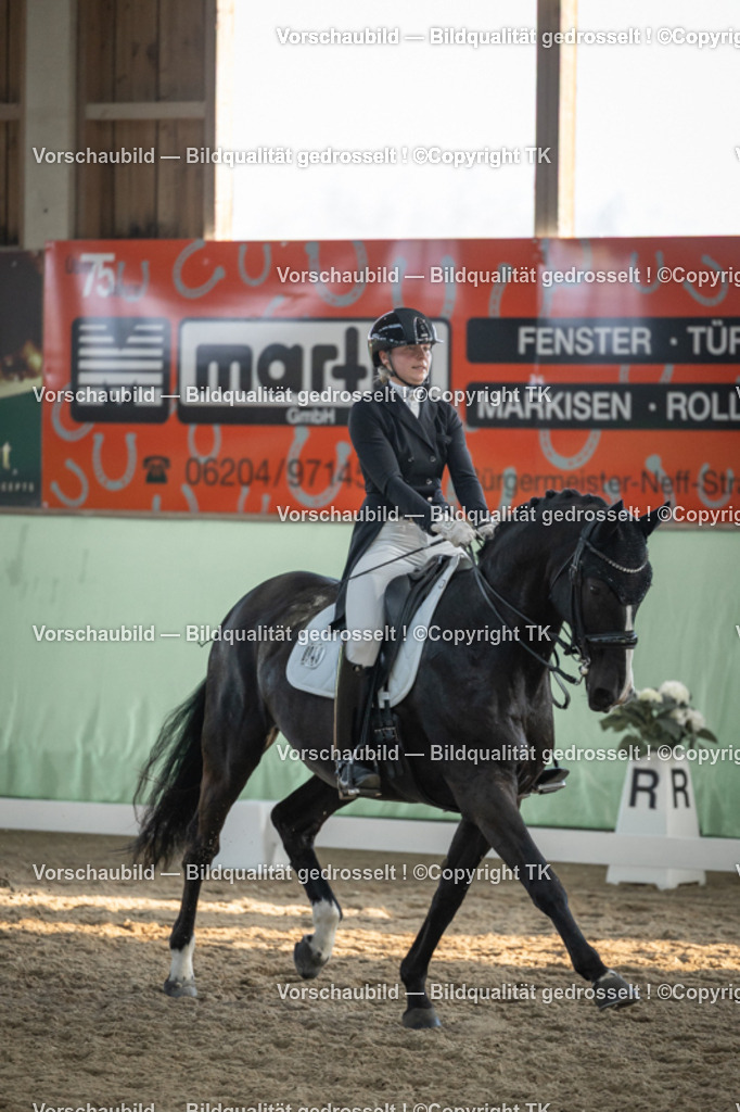 _D5A0814 | Emotionale Pferde- & People-Fotografie rund um Heidelberg, Leimen & Umgebung. Natürliche Fotos von Pferd, Mensch & Familie. Jetzt Termin sichern!