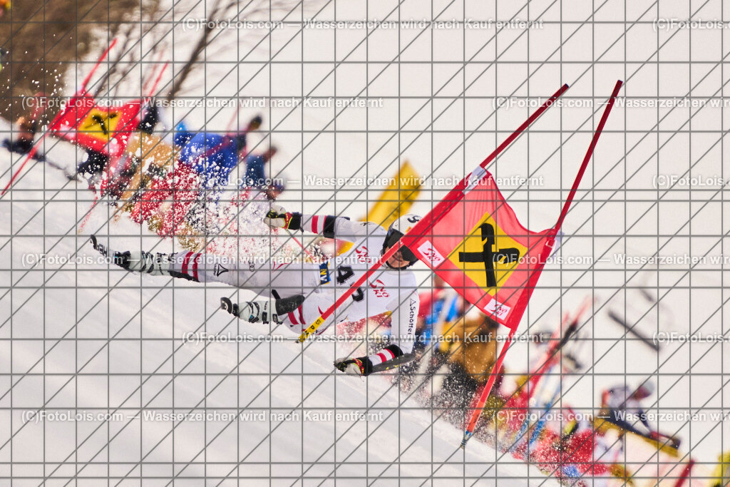 ALP8192_Herrn-FIS-GS-I_Lackenhof-WY_Wirnsberger Felix | Internationaler FIS GiantSlalom der Herrn auf der Distelpiste in Lackenhof am Mo 10. März 2025.  Österreich, LSV-NÖ, Sportunion Waidhofen/Ybbs (2035).