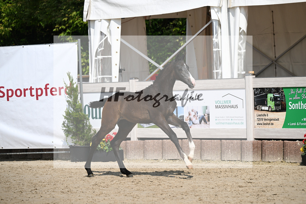 Esperanto x Boss Hoss_SF_Kraft_12250258 | hf-fotografie - Realisiert mit Pictrs.com