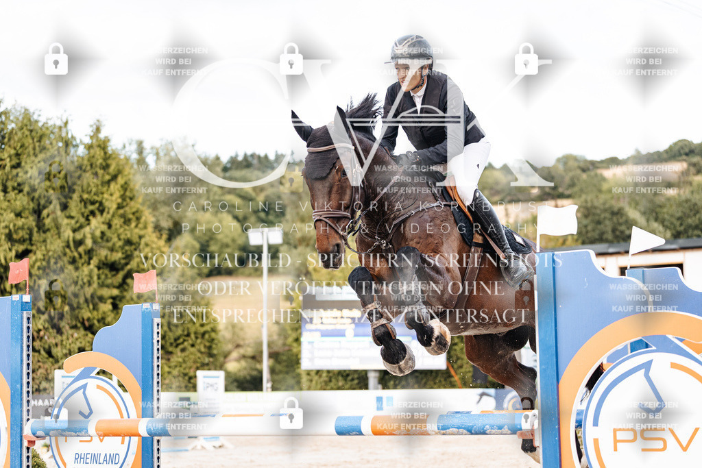 CK903756 | Turnierfotografie Pferdefotografie Trier Rheinland-Pfalz Pferdesport Reitsport Tierfotografie Sportfotografie Pferdevideo Pferdevideografie Equestrianvideography equestrianphotography  - Realisiert mit Pictrs.com