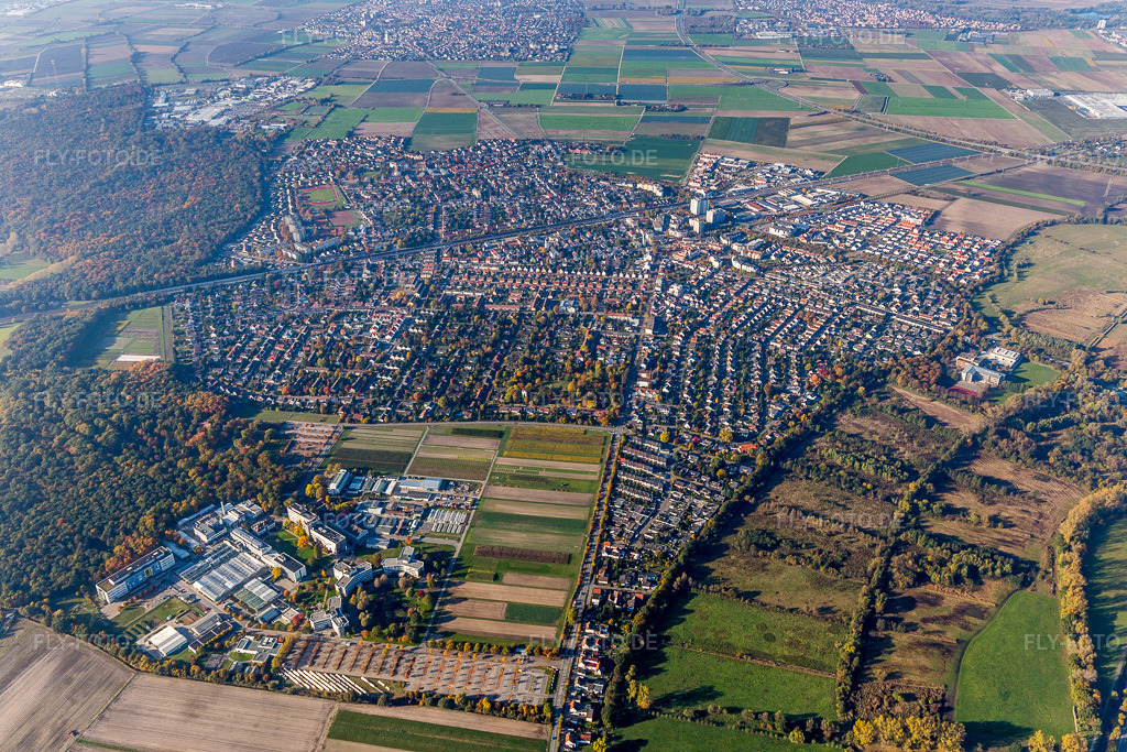 Luftbild: BASF Agricultural Center im Vordergrunde der Ortsansicht von Limburgerhof in Limburgerhof im Bundesland Rheinland-Pfalz in Deutschland. Foto: IMG_095381.jpg vom 30.10.2016 durch Werner Riehm/FLY-FOTO.de