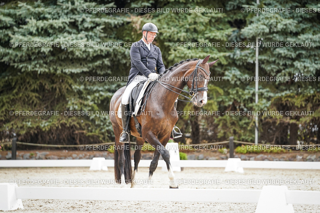 DSC06927 | Pferdegrafie