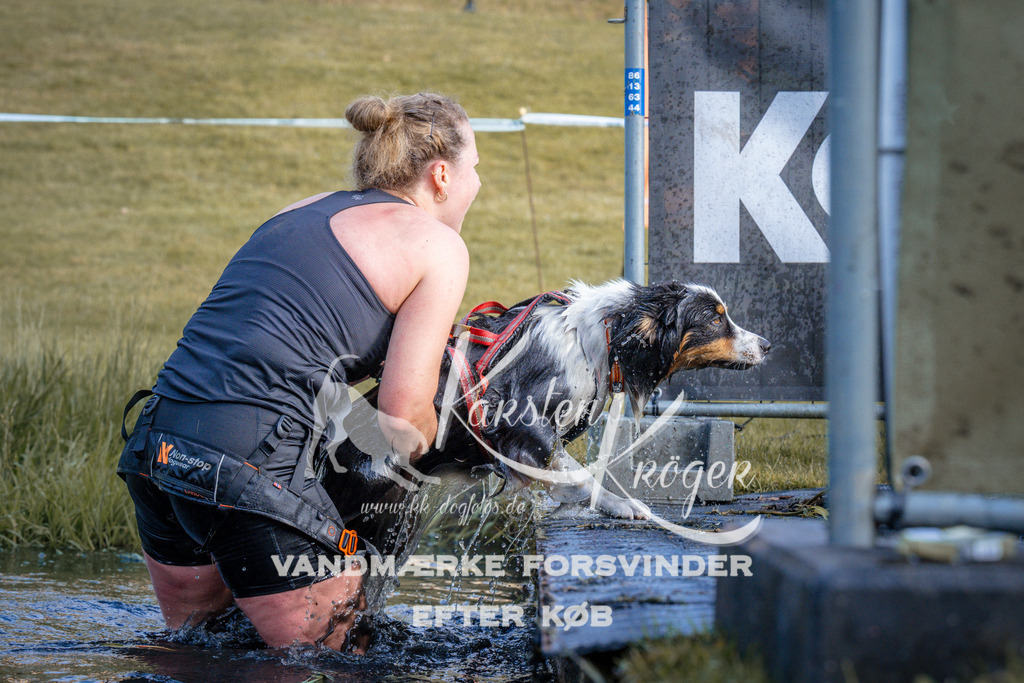 _ZZ974380744 | kk-dogfotos