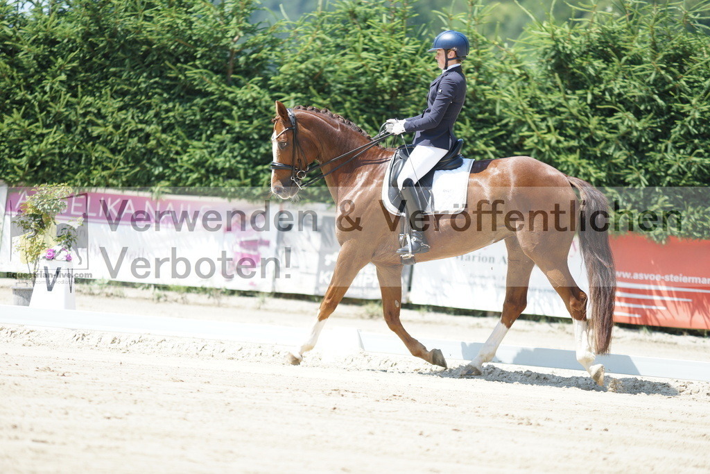 DSC03553 | equestrian-live-com