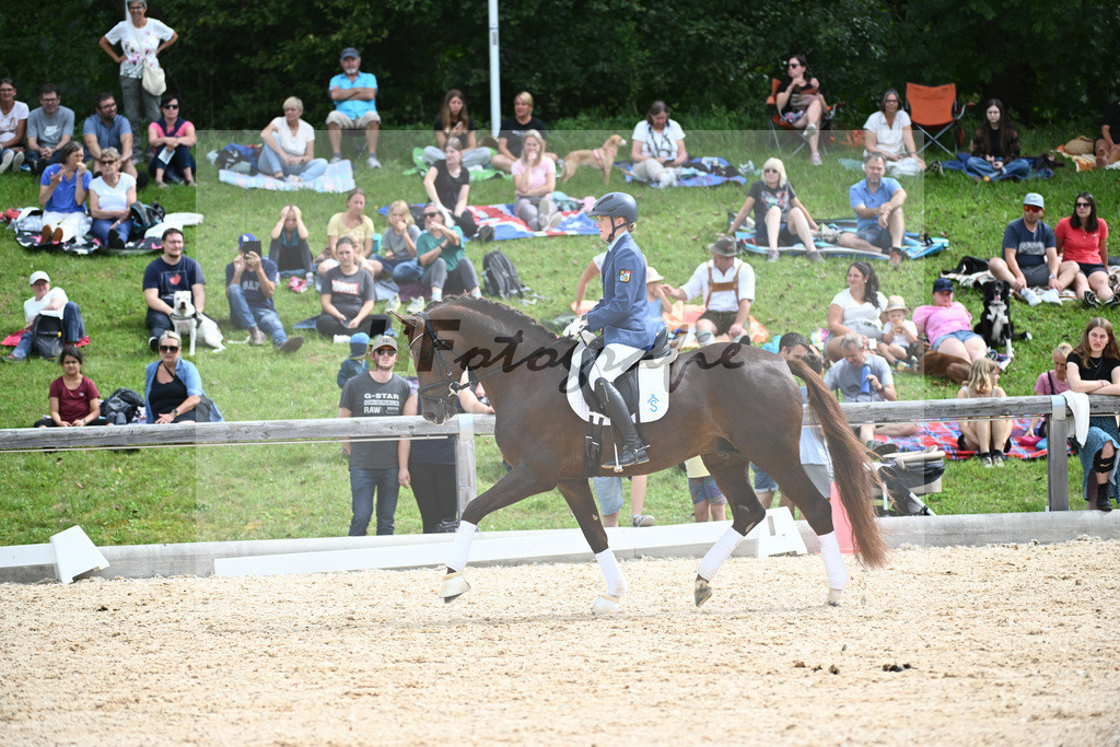 Hengste im Sport_36240169 | hf-fotografie - Realisiert mit Pictrs.com