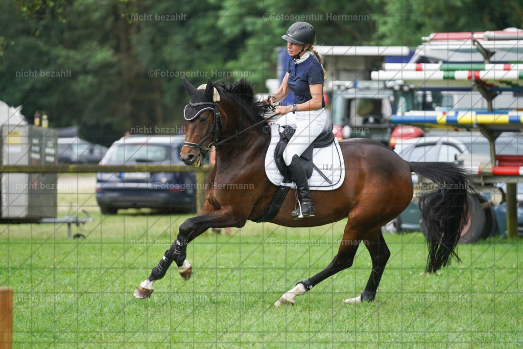 20240706-FAH06389 | Grafing Turnierfotos, Reitverein Ebersberg, Turnierfotografen Bayern, reitsportbilder, Pferdefotograf, reitsportfotograf, Sportbilder, Reitsportfotografie, Fotoagentur Herrmann, Turnierfotograf