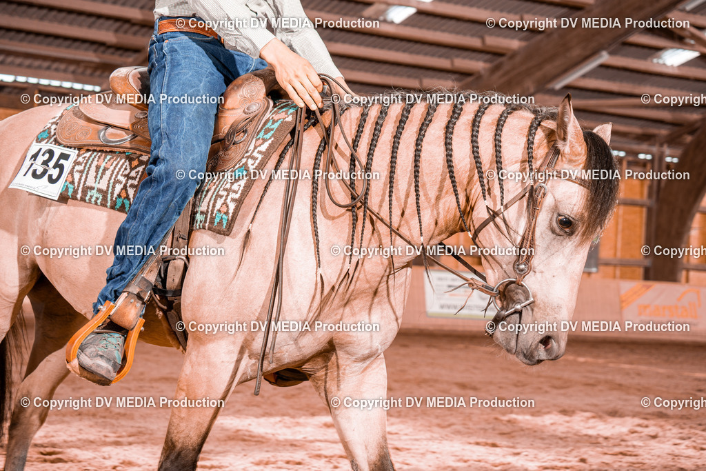 NE200473 | dv-media-shop - Realisiert mit Pictrs.com