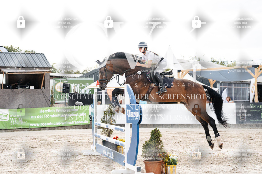CK902476 | Turnierfotografie Pferdefotografie Trier Rheinland-Pfalz Pferdesport Reitsport Tierfotografie Sportfotografie Pferdevideo Pferdevideografie Equestrianvideography equestrianphotography  - Realisiert mit Pictrs.com
