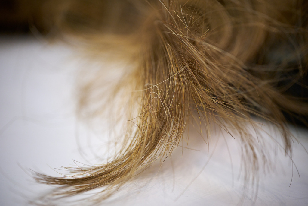 Haare einer Kunsthaarperücke | WIen, Austria - February 02, 2023; Star Perückensalon GmbH.; Haare einer Kunsthaarperücke. - Realisiert mit Pictrs.com