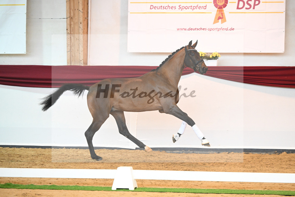 Kat-Nr. 10 v. Bonds_Klenk u Schneider-Gaertner_66221737 | hf-fotografie - Realisiert mit Pictrs.com
