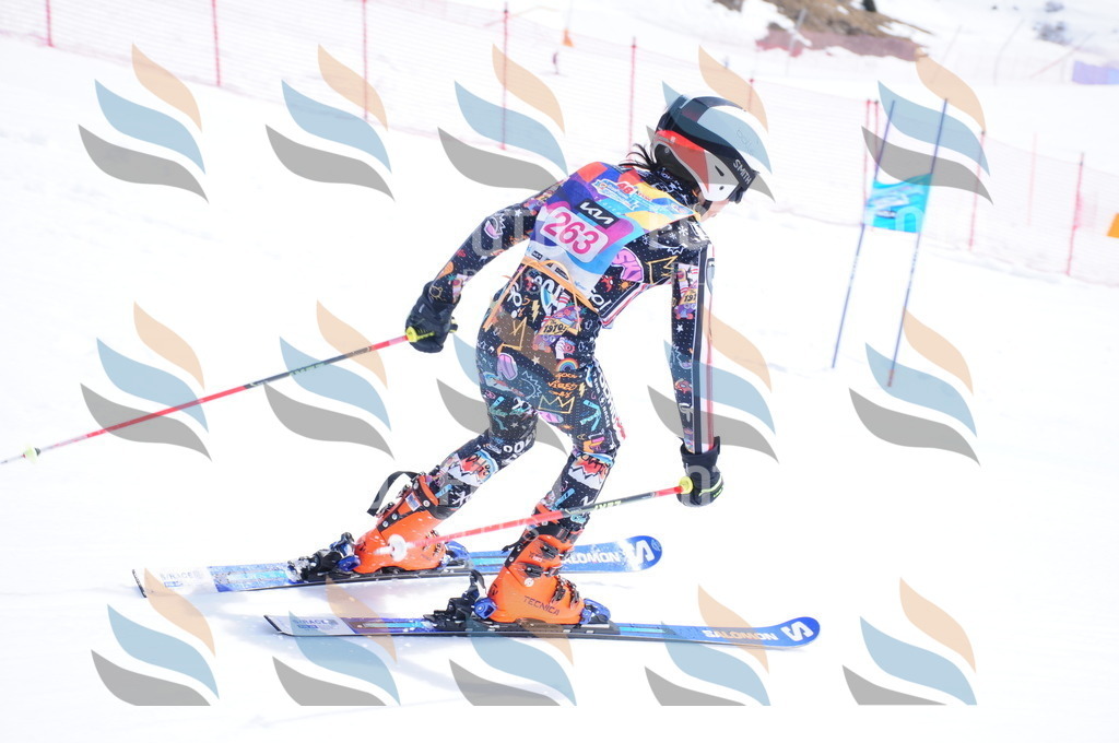 DSC_6352 | holidayphoto