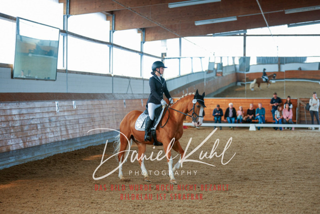 _62_7639 | Turniersportfotografie; Pferdefotografie; Dressurfotografie