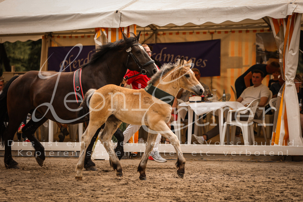 SaSF00214 | Leoni Ertmer Photography - Realisiert mit Pictrs.com