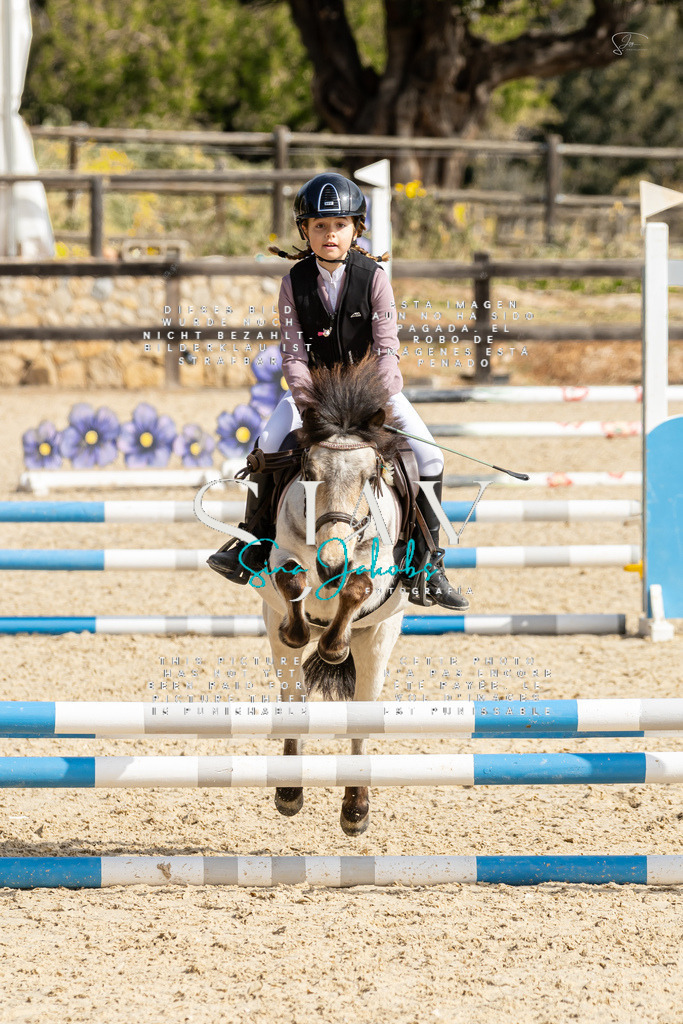 IMG_4438 | s-jay-photography - Realisiert mit Pictrs.com