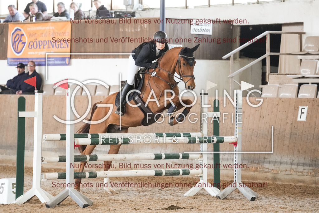 DSC00102 | Reitturnier_Göppingen_April_2026, Anna_Marlin_Stollwerck, Sheamus_HR