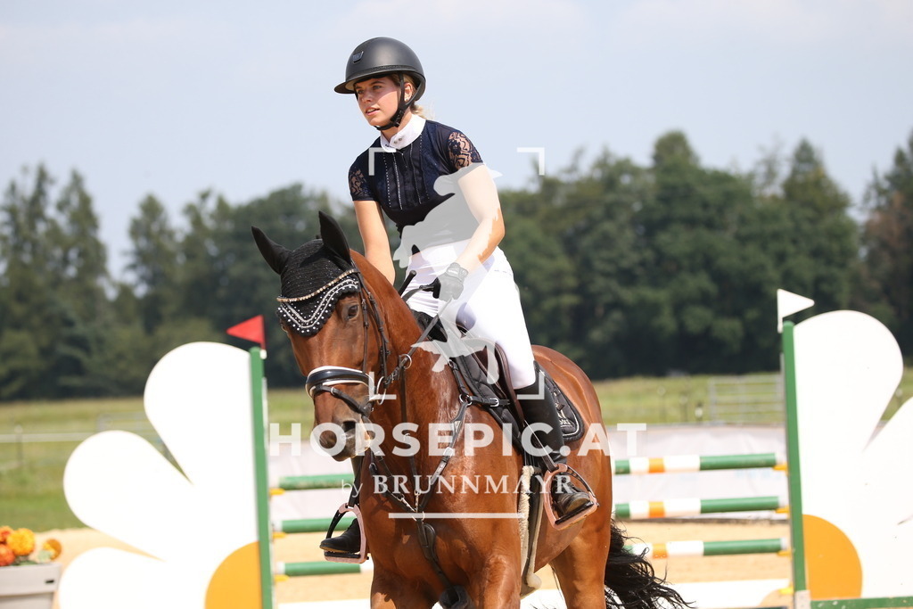 DL2Q4381 | Willkommen bei Brunnmayr - Design & Fotografie – Ihrem Spezialisten für Reitturniere und Pferdeveranstaltungen in Oberösterreich, Salzburg und Bayern! Seit über 17 Jahren sind wir leidenschaftlich dabei.