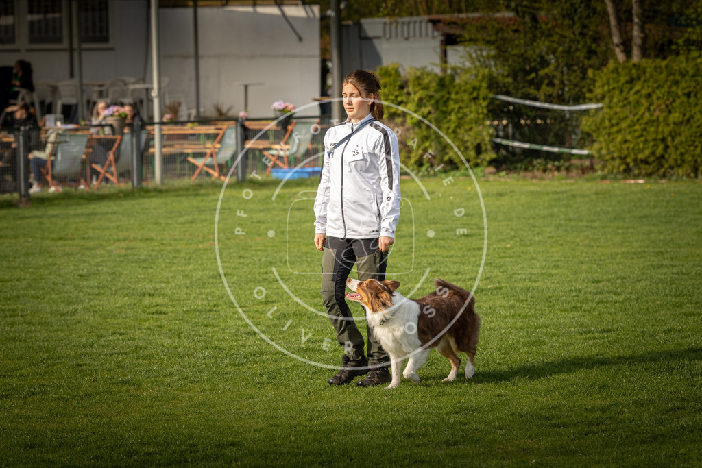 Pfotenfotografie_DV3A4842 | Hundefotografie, Tierfotograf, Pfotenfotografie, Fotoshooting Hund, Hunde Portrait, Hundesport, Hundeportraits, Heideshooting, Hunde, Sportfotograf, Hundefotograf, Turnierhundsport, THS,  - Realisiert mit Pictrs.com