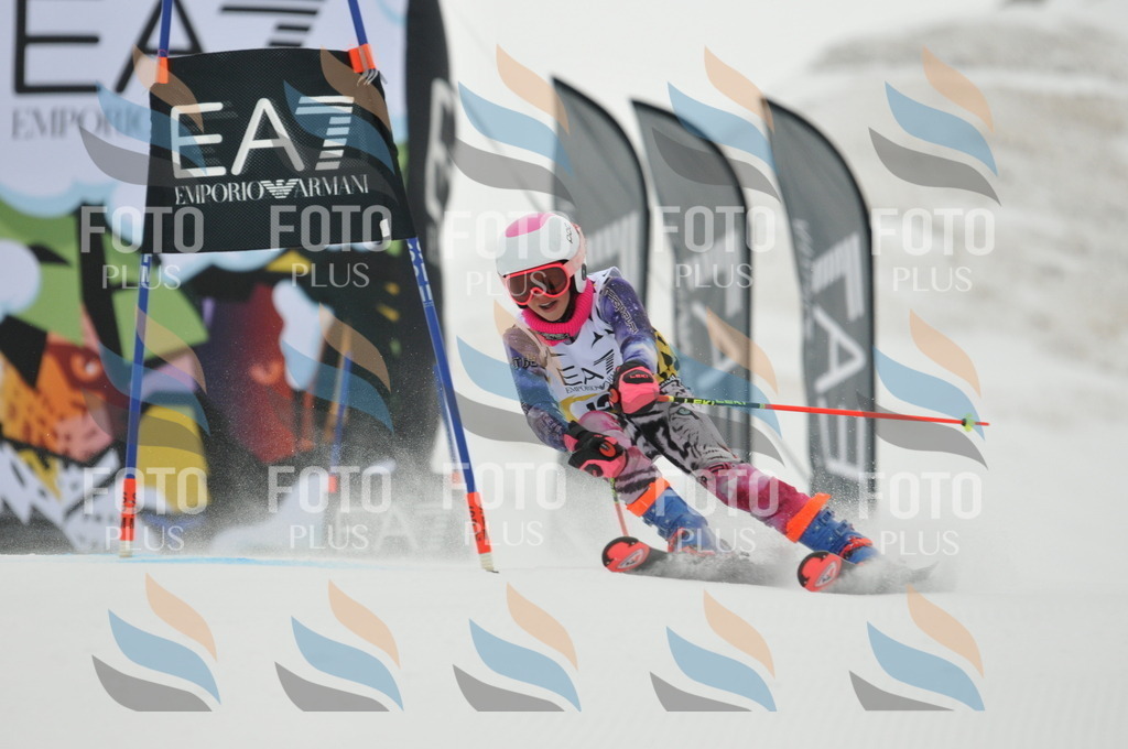 DSC_8269 | holidayphoto