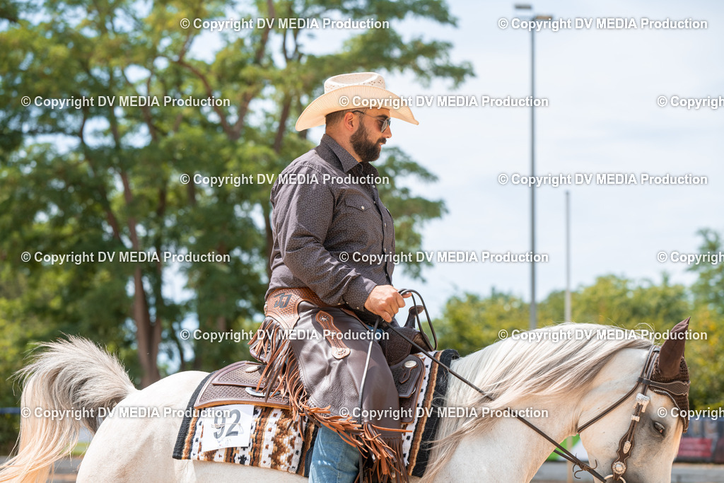 EWP_6441 | dv-media-shop - Realisiert mit Pictrs.com