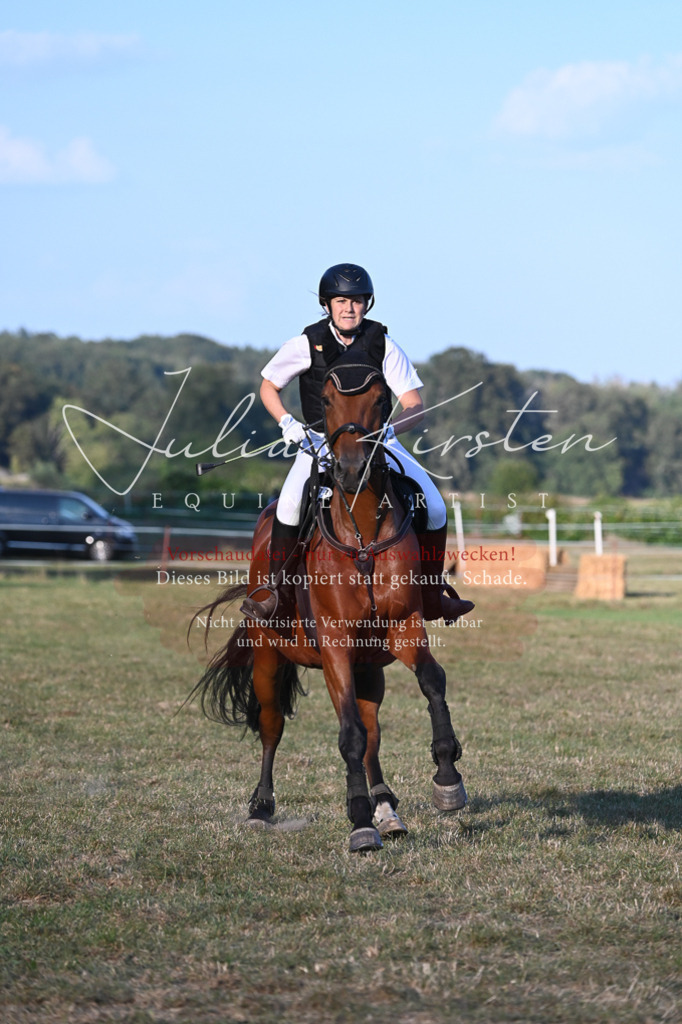 DSC_9221 | Pferde- und Turnierfotografie in Westsachsen. Pferdeportraits, Auftragszeichnungen und intuitive Kunst.