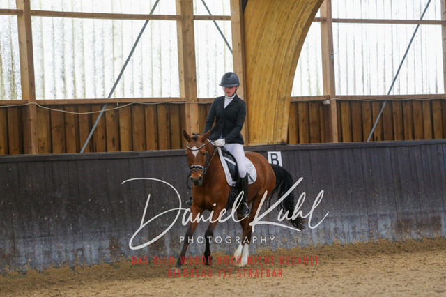 IMG_0740 | Turniersportfotografie; Pferdefotografie; Dressurfotografie