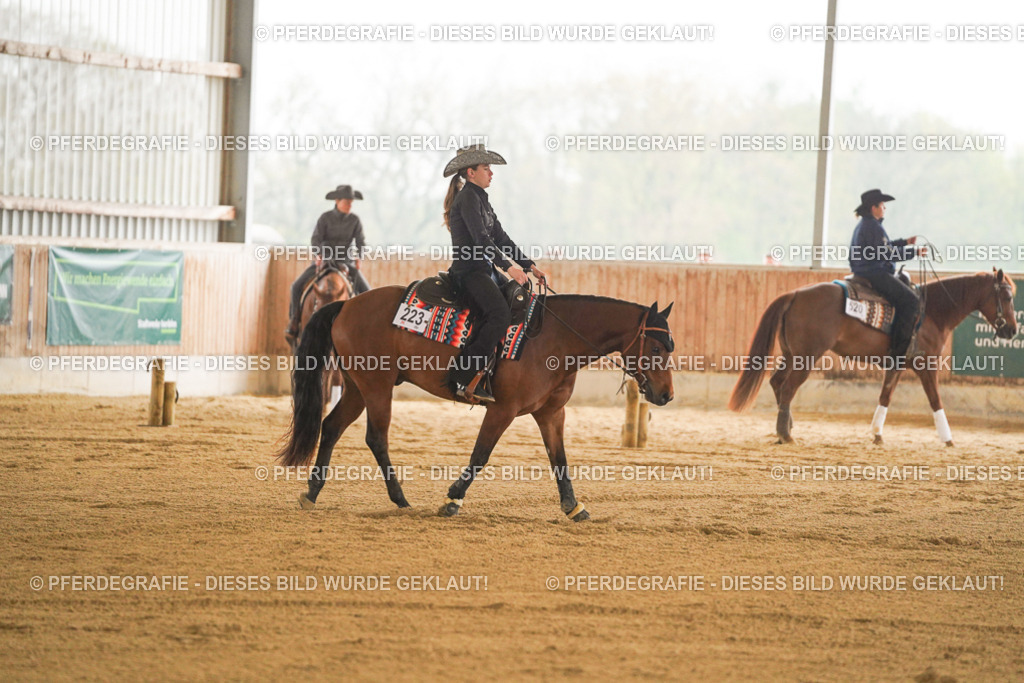 DSC09888 | Pferdegrafie