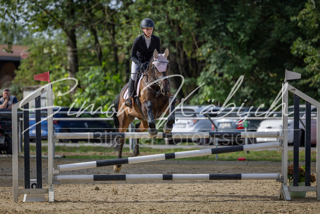 20260905-_3LI7155 | Tierfotografie Pferde, Hunde, Katzen, Haustiere.
Turnierfotografie Reitturniere, Reiten, Springreiten, Dressur in Hanau, dem Main-Kinzig-Kreis und dem Rhein-Main- Gebiet um Frankfurt