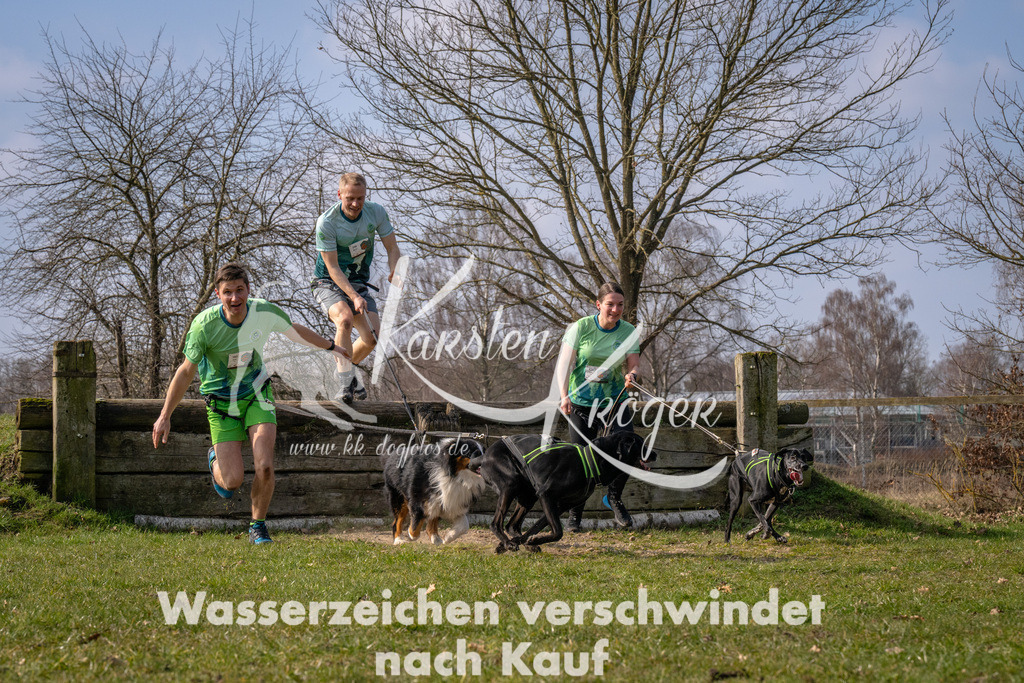 _ZZ90065 | kk-dogfotos