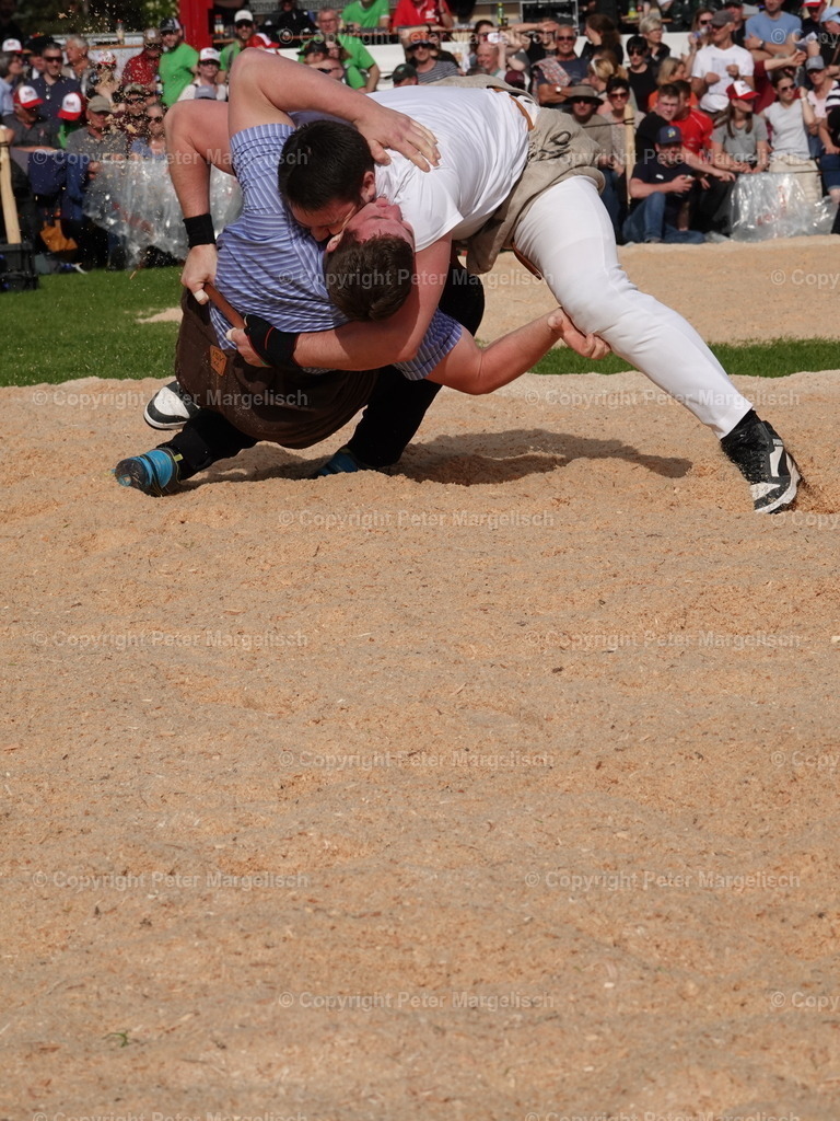 DSC06441 | Schwingen - Realisiert mit Pictrs.com