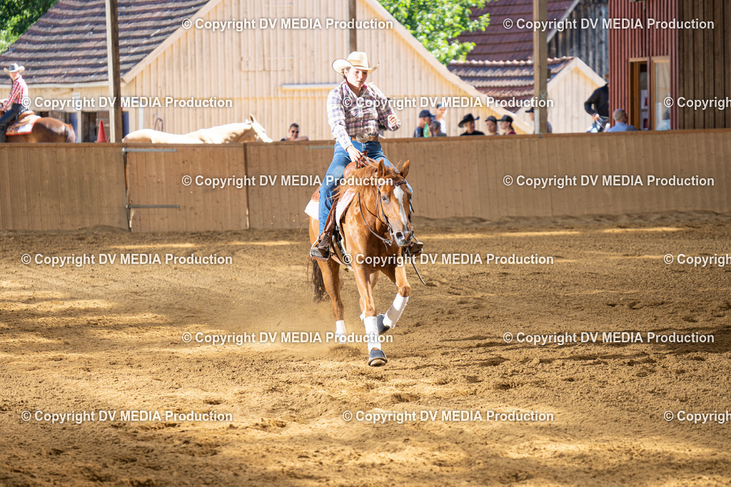 DSC00125 | dv-media-shop - Realisiert mit Pictrs.com