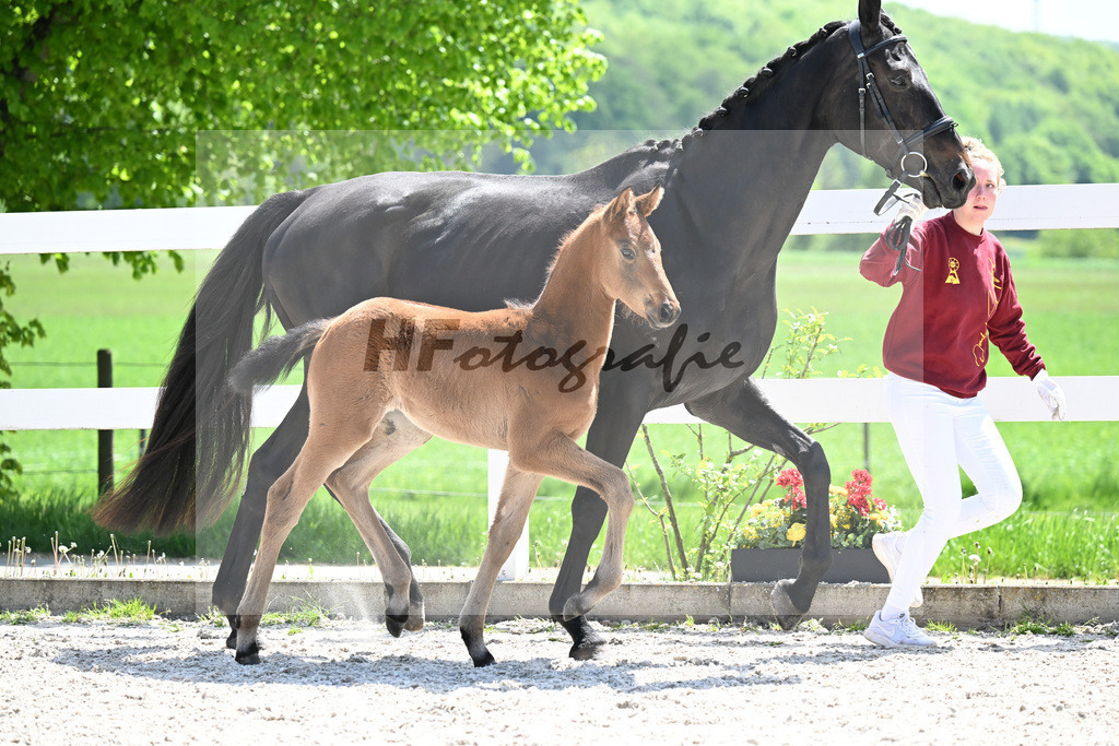 Va Bene x St. Schufro_SF_ZG Hieronymus-Mueller_8251107 | hf-fotografie - Realisiert mit Pictrs.com