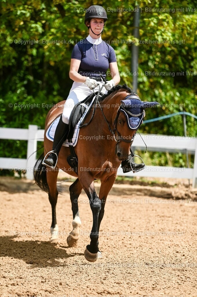 20230715_05_Dressurprüfung Kl.A++_0079 | equistock