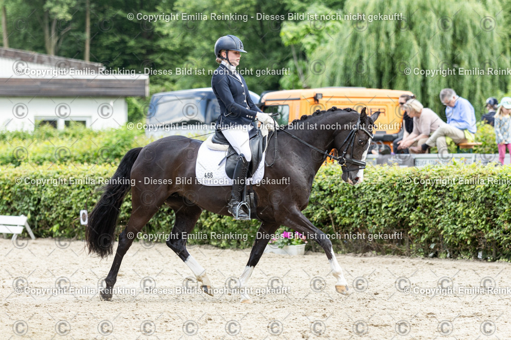 CL5A5917-2 | Emilia Reinking Fotografie - Realisiert mit Pictrs.com