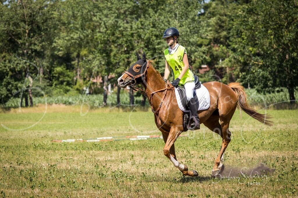 CJP_2026-06-26_70 | Stimmungsvolle Fotografie von Pferden, fotografische Begleitung von Veranstaltungen, Golfturnieren und Distanzritten - Realisiert mit Pictrs.com