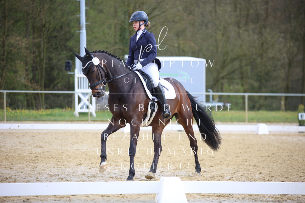 IMGT6088 | pl-fotografie