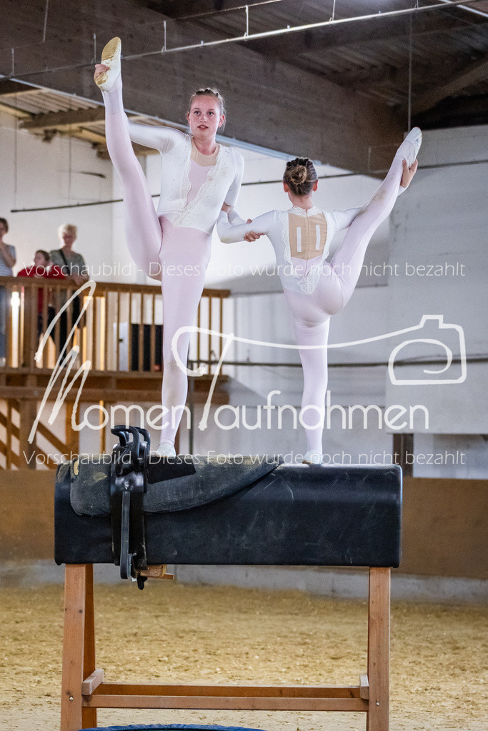 Holzpferd-109 | MomenTaufnahmen Pferdesportfotos