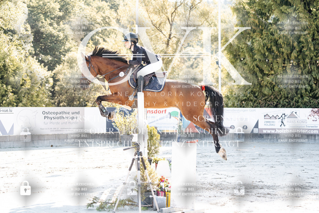 CK904280 | Turnierfotografie Pferdefotografie Trier Rheinland-Pfalz Pferdesport Reitsport Tierfotografie Sportfotografie Pferdevideo Pferdevideografie Equestrianvideography equestrianphotography  - Realisiert mit Pictrs.com