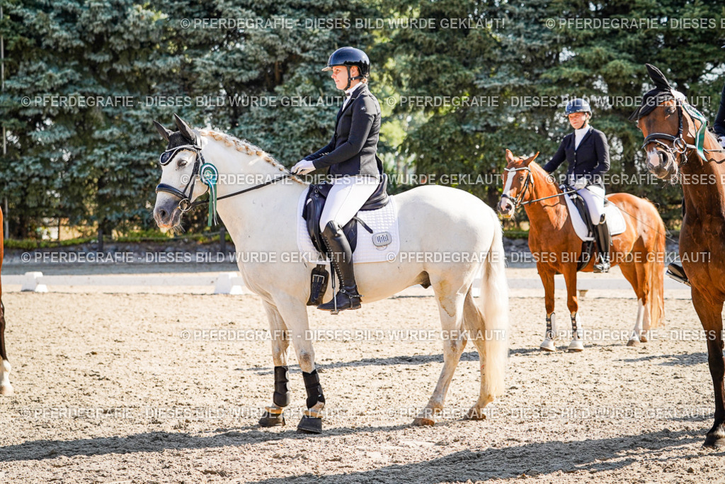 DSC00143 | Pferdegrafie