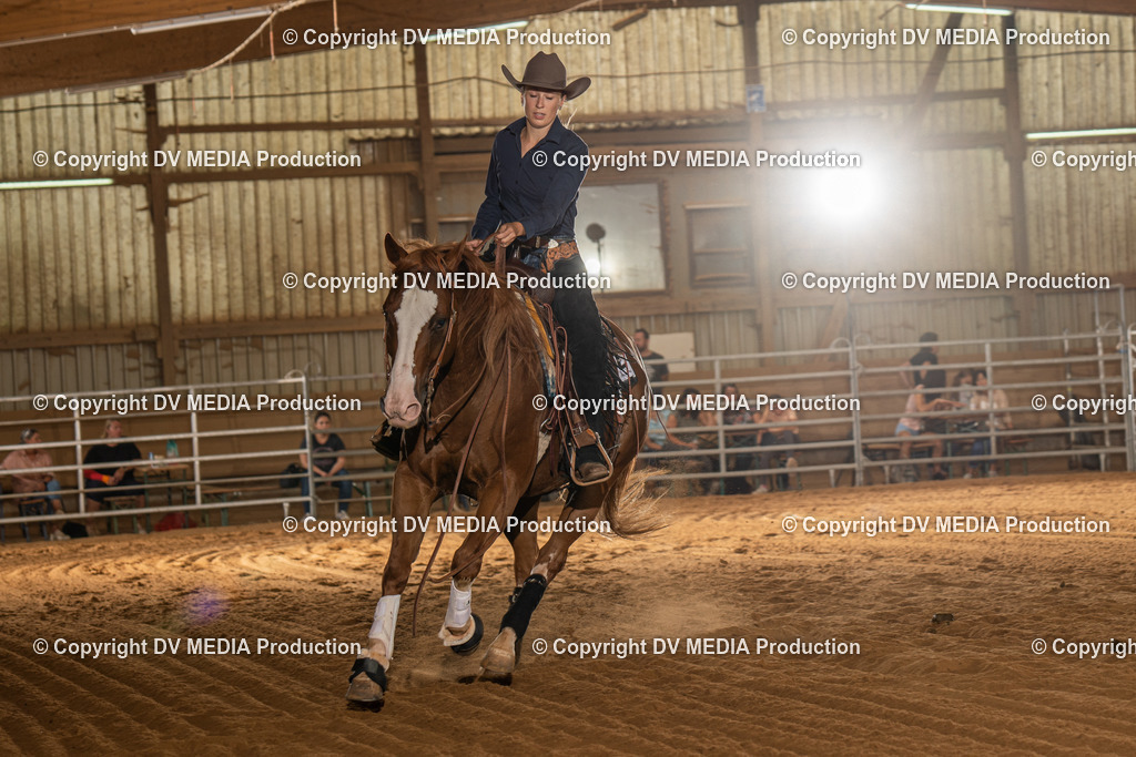 NID02005 | dv-media-shop - Realisiert mit Pictrs.com