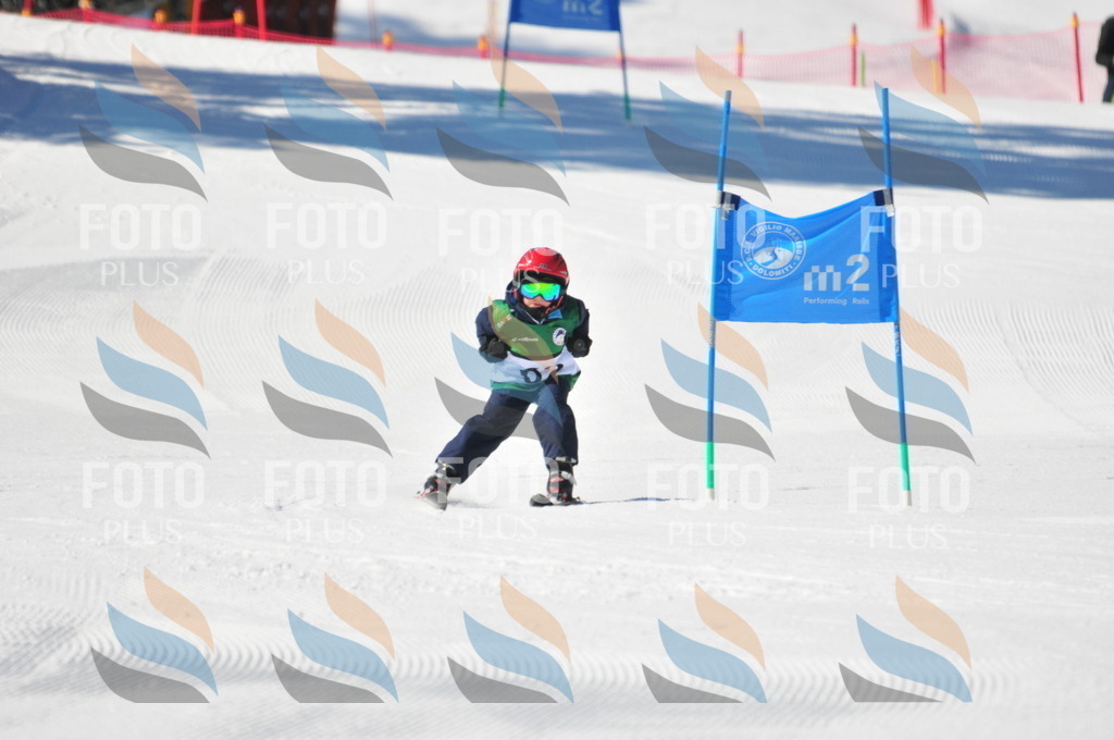 C2947 | holidayphoto