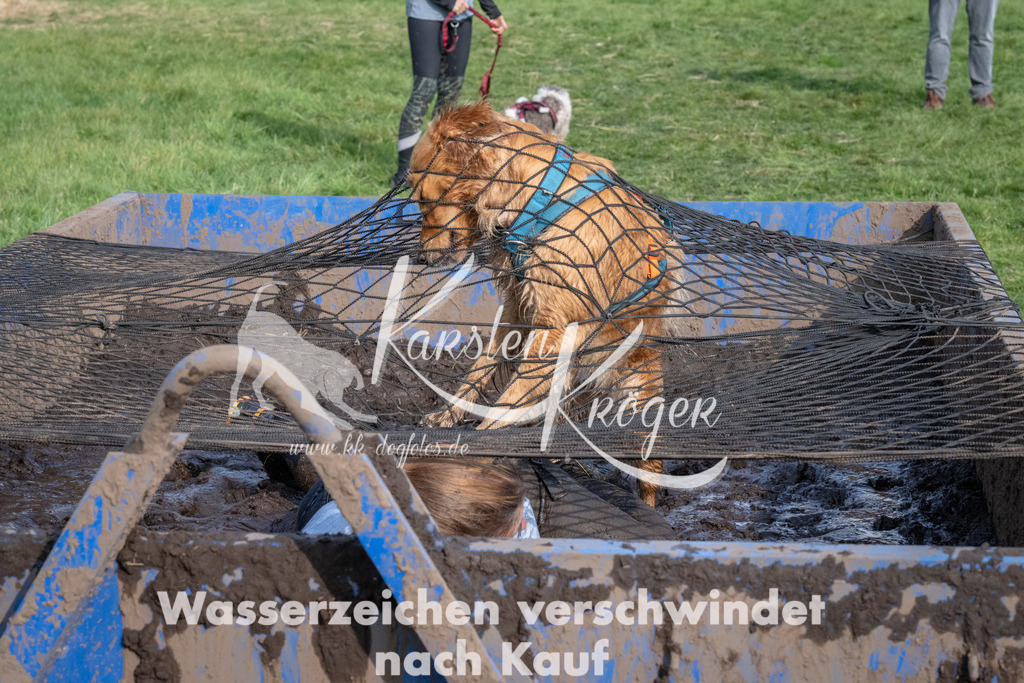 1610_ZZ91840 | kk-dogfotos